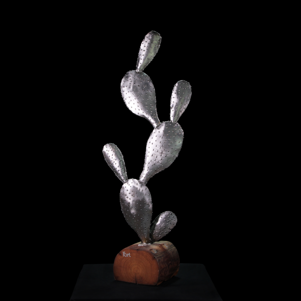 Cactus grand format