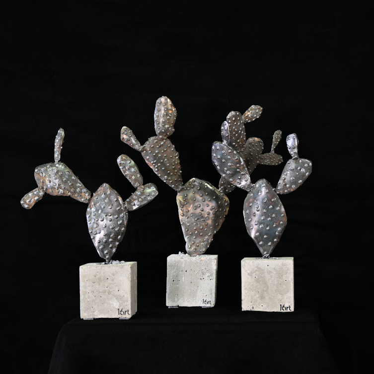 Cactus petit format